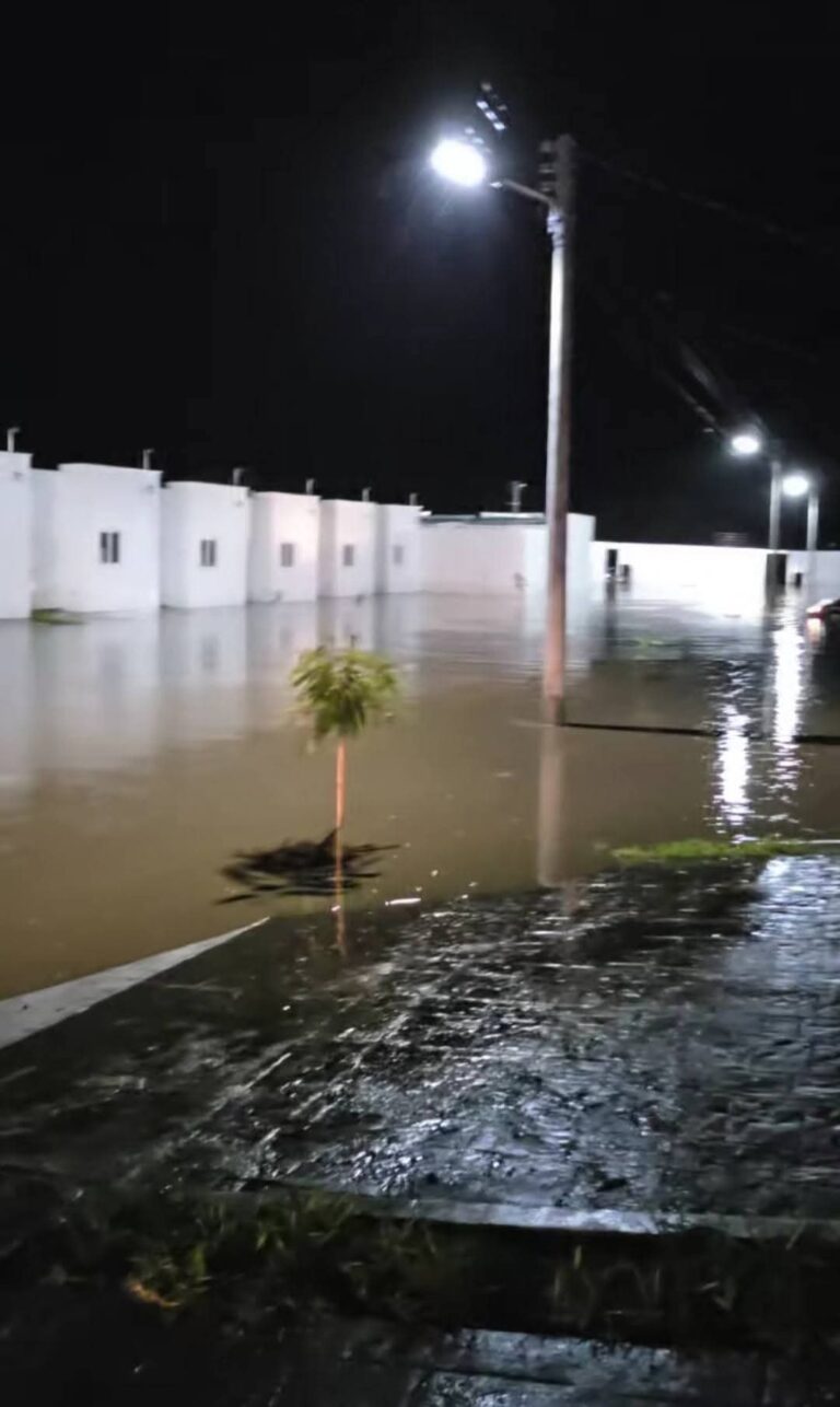 Gobierno suspende permisos de construcción a Salazar Romero y empresas aliadas