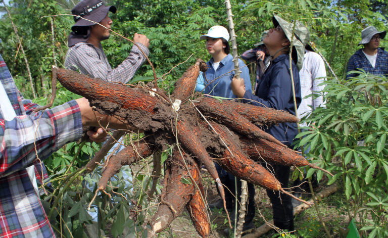 Canasta básica alimentaria de El Salvador