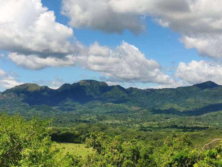 Nuestro patrimonio natural: la inmensa virtud de la vida campestre