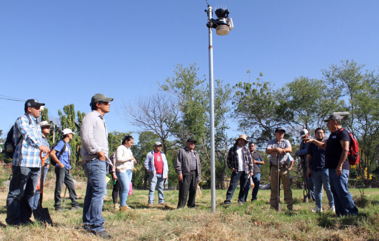 Inteligencia artificial, recurso valioso en la agricultura