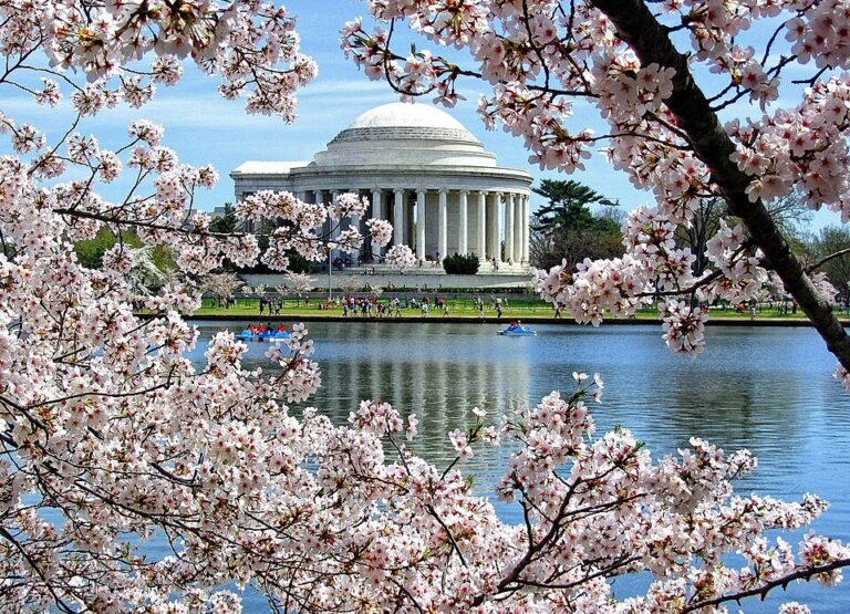 Programación de distintos eventos familiares en el DMV