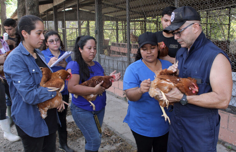 La importancia de conocer las características de los animales