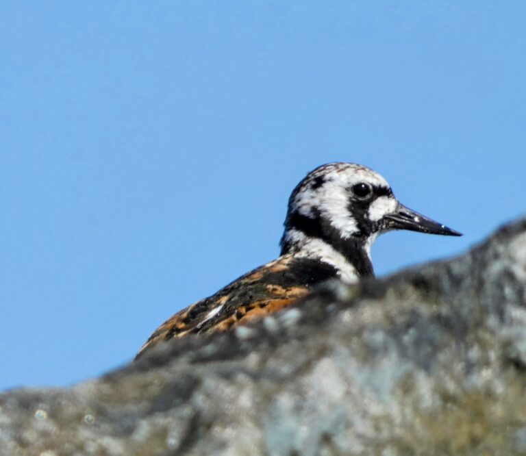 Mayor toma de conciencia; ante el dominio de un materialismo asfixiante