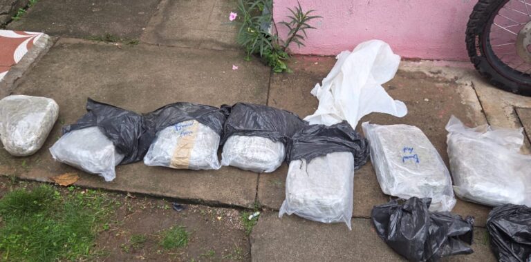 Decomisan metanfetamina y marihuana en operativos de San Salvador y Santa Ana