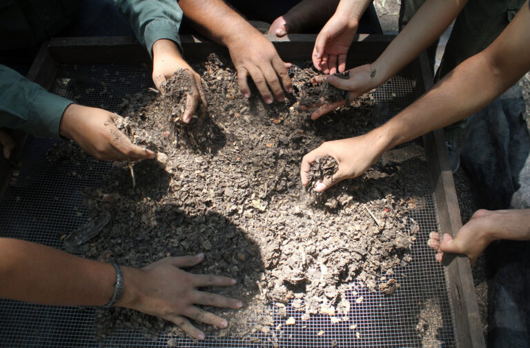 El compostaje natural, el mejor abono para la jardinería y agricultura