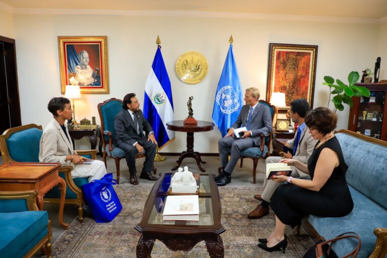 Vicepresidente Félix Ulloa robustece cooperación con el Programa Mundial de Alimentos