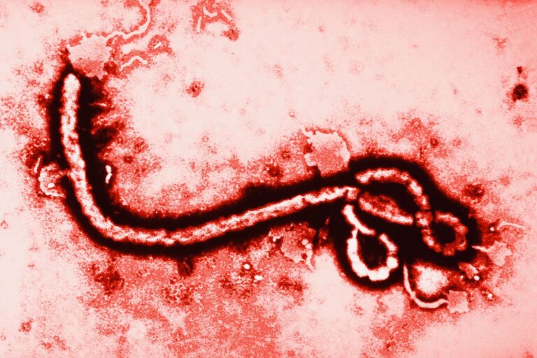 Más de 9,000 casos confirmados de ébola en el Congo