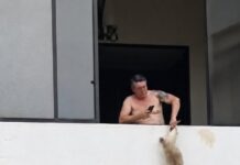 VIDEO | Capturan a “El Chino” Rosales, exjugador de Águila y Alianza, por maltratar a un animal desde el quinto piso de su apartamento
